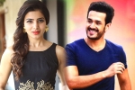 Samantha latest updates, Samantha next pan-Indian release, samantha and akhil to clash in august, Bollywood films