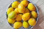 Soak Mangoes news, Soak Mangoes latest, soak mangoes for 30 minutes before eating, Dessert Soak Mangoes news, Soak Mangoes latest, soak mangoes for 30 minutes before eating, Dessert