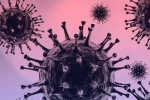 Omicron latest updates, Omicron new updates, south african scientists about omicron variant, Omicron symptoms