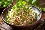 Sprouts health issues, Sprouts health issues, benefits of adding sprouts to your diet, Healthy digestion