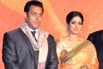 Salman Khan updates, Sridevi latest updates, sridevi to work with salman khan, English vinglish Salman Khan updates, Sridevi latest updates, sridevi to work with salman khan, English vinglish
