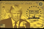 H-1B Workers Donald Trump, Trump's Corporate Gold Card, all about trump s gold platinum corporate gold cards for h 1b workers, Scientist