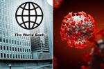 World Bank coronavirus, World Bank news, world bank deploys 157 billion usd to battle coronavirus pandemic, David malpass