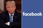 Donald Trump breaking news, Facebook, facebook bans donald trump for 2 years, Gravity