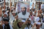 USA, Bin Laden death, bin laden continues to mobilize jihadists ten years after his death, Al qaeda