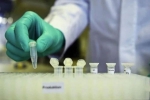 mutants, coronavirus, not enough mutants in coronavirus in india to inflict concern, Global development