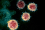 Mu variant threat, Coronavirus in Columbia, one more new variant of coronavirus traced in columbia, Anthony fauci