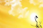 summer culminating point, Al Ain, friday is the longest day of the year, Uae news