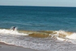 Indian-origin, World Bank, indian origin world bank senior economist drowns at bali beach, Aakansha pande
