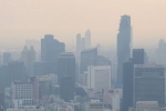 Air Pollution Vs Productivity latest, Air Pollution, how air pollution can impact your productivity and focus, Cognitive decline