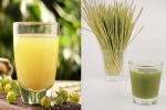 Amla Juice Vs Wheatgrass Juice comparision, Wheatgrass Juice, amla juice vs wheatgrass juice for fatty liver, Alcohol