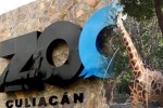 Coronavirus lockdown, nurseries and aquariums, animals abandoned during coronavirus lockdown are rescued by a zoo in mexico, Culiacan zoo