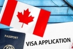 Canada's study visa approvals, Canada's study visa approvals for students of India, canada s study visa approvals for indian students to drop by 50 in 2024, Autumn