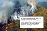 amazon forest, Fires in Amazon Rainforest, in pictures devastating fires in amazon rainforest visible from space, Wmo