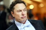 Elon Musk India visit, India, elon musk s india visit delayed, Economy