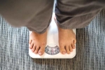 Jaggery, Jaggery Vs Honey articles, jaggery vs honey which is better for weightloss, Calorie intake