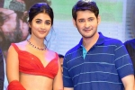 Pooja Hegde and Mahesh Babu, Pooja Hegde new film, mahesh babu all set to romance pooja hegde again, Maharshi
