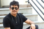 Nagarjuna Akhil movie, Nagarjuna news, nagarjuna s 100th film locked, Akhil movie