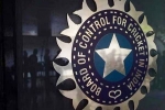 World Cup 2027 India Probables, World Cup 2027 India Probables, odi world cup 2027 probables decided by bcci, World cup 2027