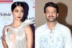 Pooja Hegde latest, Pooja Hegde next movie, pooja hegde all set to romance prabhas, Saakshyam