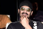 Prabhas and Maruthi Film news, Prabhas and Maruthi Film shoot updates, prabhas next film launched, Malavika mohanan