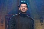 Prabhas breaking news, Prabhas out of shape, prabhas struggling to cut down his weight, Dairy