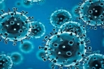 R.1 Coronavirus updates, R.1 Coronavirus treatment, r 1 variant of coronavirus traced in 35 countries, Coronavirus usa