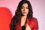 Rashmika and Manager controversy, Rashmika and Manager, rashmika mandanna clears air, Animal film