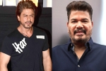 Shankar, SRK, shah rukh khan and shankar to team up for a sci fi thriller, King khan