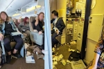 Singapore Airlines turbulence horror news, Singapore Airlines from London, one dead and 30 injured in singapore airlines turbulence horror, Singapore airlines Singapore Airlines turbulence horror news, Singapore Airlines from London, one dead and 30 injured in singapore airlines turbulence horror, Singapore airlines
