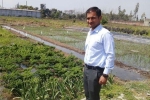 regional centre of organic farming panchkula, organic farming nic in, this u s return mba graduate is transforming a village barren land into an organic farming facility, Post graduate