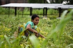 punjab, punjab, villagers in punjab relying more on nris for development than on politicians, Female students punjab, punjab, villagers in punjab relying more on nris for development than on politicians, Female students