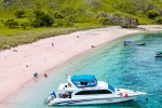 Pink Beach in Indonesia, Pink Beach in Indonesia list, which pink beach should you visit in indonesia, Fan id Pink Beach in Indonesia, Pink Beach in Indonesia list, which pink beach should you visit in indonesia, Fan id