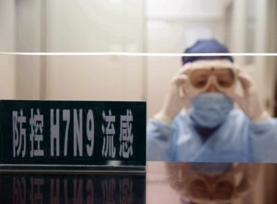 H7N9 Bird flu risen to 91 in China!